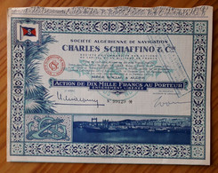 Société Algérienne De Navigation Charles Schiaffino & Cie. - 1951 - Navigazione