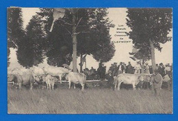 52 - CLEFMONT - CONCOURS AGRICOLE -  EXPOSITION DES BOEUFS BLANCS - 1913 - Clefmont
