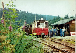 EREZEE-TRAMWAY DE L'AISNE-AUTORAIL-AMONINES-DOCHAMPS-biere Stella Artois - Erezée