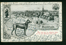 AK Litho Buxtehude, Gelaufen 1915 Mit Stempel Großflottbek Nach Staßfurt? - Buxtehude