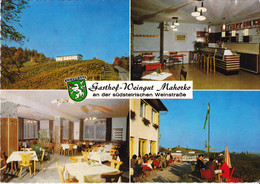 1978, Österreich,  Glanz /Leutschach An Der Südsteirischen Weinstraße, Weingut Mahorko - Leibnitz