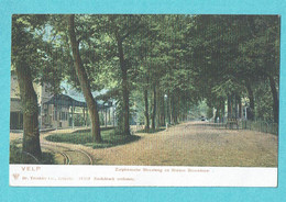 * Velp (Gelderland - Nederland) * (Dr. Trenkler Co Leipzig, 19519) Zuiphensche Straatweg En Station Stoomtram, Vicinal - Velp / Rozendaal