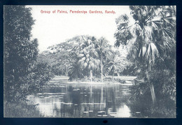 Cpa De Ceylon Sri Lanka -- Group Of Palms , Peredeniya Gardens , Kandy  -- Ceylan FEV22-15 - Sri Lanka (Ceylon)