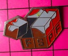 813B Pin's Pins / Beau Et Rare / THEME : JEUX / JEU DE CUBES FSPF - Jeux