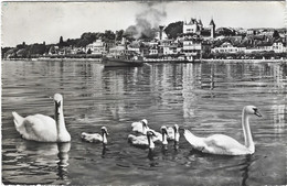 Nyon Port Et Château - Nyon