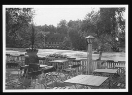 Orig. Foto Wahrscheinlich Neukloster Niederelbe Muehlenteich Seeburg / Buxtehude 1958 - Buxtehude