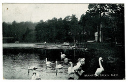 Ref 1521 - 1929 Postcard - Swans Brampton Talkin Tarn Cumbria Lake District 2 X PUC 1/2d Stamps - Other & Unclassified