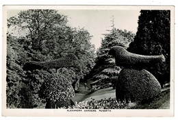 Ref 1522 - 1960 Real Photo Postcard - Topiary Alexandra Gardens Penarth - Glamorgan Wales - Glamorgan