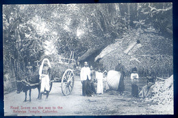 Cpa Du Sri Lanka - Ceylon -- Colombo , Road Scene On The Wap To The Kalaniya Temple   -- Ceylan    FEV22-14 - Sri Lanka (Ceylon)