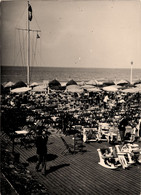 Deauville * Plage Fleurie * Vue Du Bar Du Soleil * La Plage Et La Mer * Buvette - Deauville