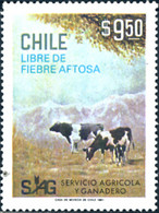 Ref. 29895 * NEW *  - CHILE . 1981. CHILE FREE FROM APHTA DISEASE. CHILE LIBRE DE FIEBRE AFTOSA. - Chile