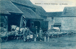 Nozay * La Ferme De Villarceau * Les Moutons * Paysans Fermiers Agriculture - Autres & Non Classés