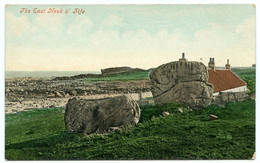 THE EAST NEUK O'FIFE : COTTAGE / ADDRESS - SANDY, STATION ROAD (YOUNG) - Fife