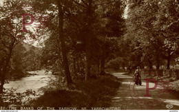 RPPC THE BANKS OF THE YARROW NR YARROWFORD - Selkirkshire