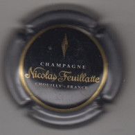 CHAMPAGNE NICOLAS FEUILLATTE - Feuillate