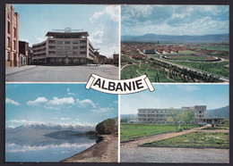 ALBANIA ,  KORCE ,  STADION  ,  OLD  POSTCARD  RARE - Albanie