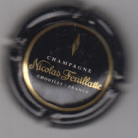 CHAMPAGNE NICOLAS FEUILLATTE - Feuillate