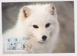 MC 034307 FINLAND - Arcitc Fox - Cartes-maximum (CM)