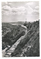 Delcampe - ESCALIER DE LA COLLINE ST.- JACQUES.-  CAVAILLON.-  ( FRANCIA ) - Cavaillon