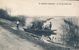 CPA-19140-44-Bouaye-Lac De Grand Lieu  -Envoi Gratuit - Bouaye