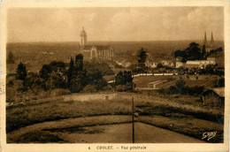 Cholet * Vue Générale Et Panorama Du Village - Cholet