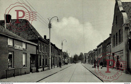 PEER NIEUWSTRAAT - Peer