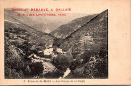 Algérie - Environs De BLIDA - Les Gorges De La Chiffa - Publicité Chocolat Debauve & Galalis - Blida