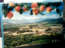 AUSTRALIA   TASMANIA HUON VALLEY     VB1970 IN4781 - Autres & Non Classés