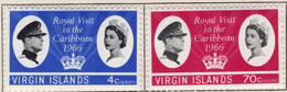 1966 - BRITISH VIRGIN ISLANDS -  Catg.. Mi. 163/164 - LH - (PG.005) - Iles Vièrges Britanniques
