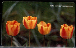 TURKEY 2005 PHONECARDS FLOWERS USED VF!! - Fleurs