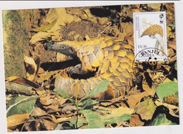 MC 034401 THE GAMBIA - Long-tailed Pangolin - Gambie (1965-...)