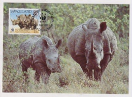 MC 034434 SWAZILAND - White Rhinoceros - Swaziland (1968-...)