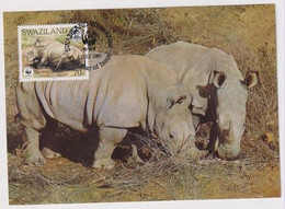 MC 034436 SWAZILAND - White Rhinoceros - Swaziland (1968-...)