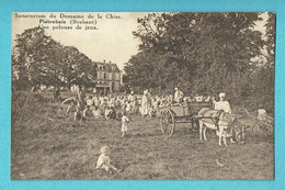 * Pietrebais - Neerbeek (Incourt) * (L'edition Belge) Sanatorium Domaine De La Chise, Pelouse De Jeux, Attelage Ane, TOP - Incourt