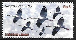 Pakistan - MNH ** 2012 Migartory Birds :   Siberian Crane  -  Leucogeranus Leucogeranus - Gru & Uccelli Trampolieri