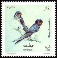 ALGERIE ALGERIA 2020 - 1v - MNH Hirondelles Hirondelle Swallows Swallow Schwalben Schlucke Birds Aves Vögel Golondrinas - Zwaluwen