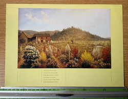 Australia 1990 - John Glover Painting $20, Stamp-card Souvenir, Art Gallery Adelaide, Gardens, Australian Post Print - Vegetazione