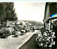 Cannes * Ile Ste Marguerite * Le Bar Restaurant A La Guérite * La Terrasse - Cannes