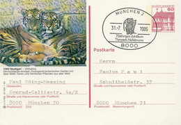 224  Tigre: Entier (c.p.) + Oblit. Temp. D'Allemagne, 1974 - Tiger, Zoo: Stationery PC + Pictorial Cancel. Big Cat Félin - Félins