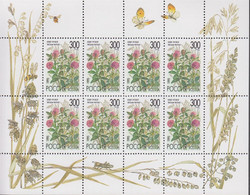 1995. RUSSIA. Flowers In Sheet With 8 Stamps. Never Hinged.   - JF516588 - Neufs