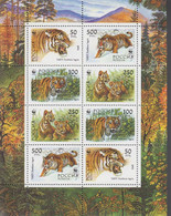 1993. RUSSIA. Tigers In Sheet With 8 Stamps. Never Hinged.   - JF516607 - Ongebruikt