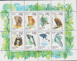 1993. RUSSIA. International Fauna In Sheet With 8 Stamps. Never Hinged.   - JF516609 - Ungebraucht