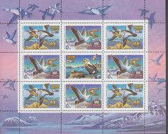 1993. RUSSIA. Ducks In Sheet With 9 Stamps. Never Hinged.  - JF516611 - Ongebruikt