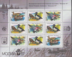 1994. RUSSIA. Ducks In Sheet With 9 Stamps. Never Hinged. Printed Moscow-97 In Margin.  - JF516618 - Ungebraucht