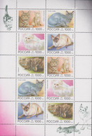 1996. RUSSIA. Cats In Sheet With 10 Stamps. Never Hinged.  - JF516627 - Nuovi