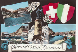 GRAN SAN BERNARDO - GRAND SAINT BERNARD - VEDUTINE MULTIVUES - BANDIERE FLAGS - CANE DOG CHIEN - V1962 - Otras Ciudades