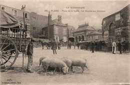 Flers * La Place De La Halle * Le Marché Aux Cochons Porcs * Foire Marchands - Flers