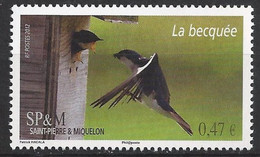 Hirondelle Bicolore (Tachcineta Bicolor) : La Becquée : N°1024 Chez YT. - Zwaluwen