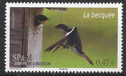 Hirondelle Bicolore (Tachcineta Bicolor) : La Becquée : N°1024 Chez YT. - Schwalben