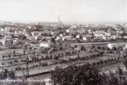 Cartolina - Senigallia - Panorama - 1960 Ca. - Ancona